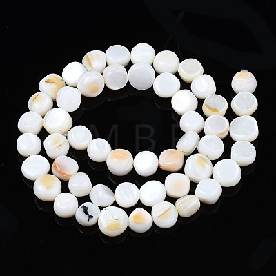 Natural Trochid Shell/Trochus Shell Beads Strands SHEL-S258-083-A01-1