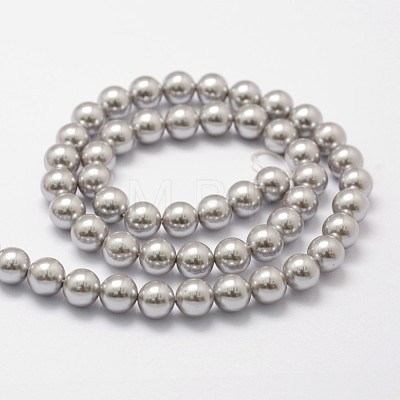 Shell Pearl Beads Strands X-BSHE-L026-05-8mm-1
