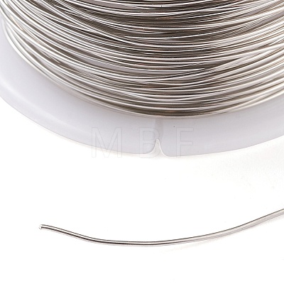 316 Surgical Stainless Steel Wire TWIR-L004-01A-P-1