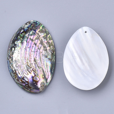 Single-Sided Natural Abalone Shell/Paua Shell Big Pendants SSHEL-N034-18-1