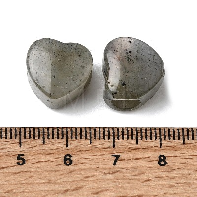 Natural Labradorite European Beads G-C269-01I-1