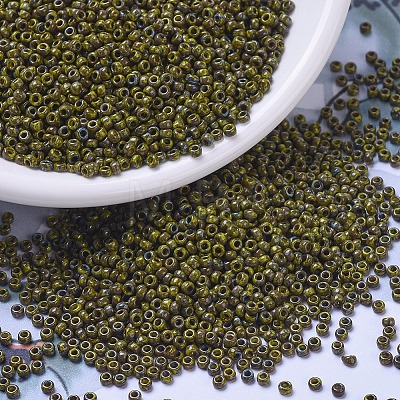 MIYUKI Round Rocailles Beads X-SEED-G010-RR4519-1