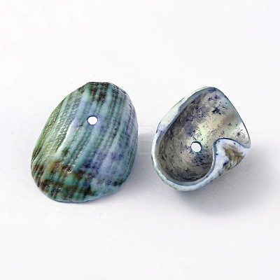 Natural Sea Shell Beads BSHE-S002-1-1