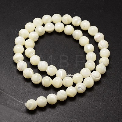 Shell Beads Strands SSHEL-E571-39-4mm-1