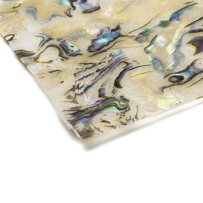 Natural Abalone Shell Slic Paper DIY-NH0007-03-1