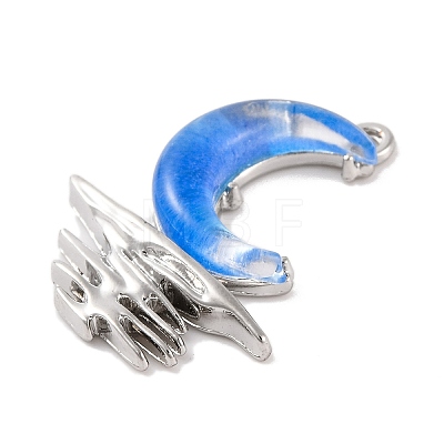 Alloy & Resin Pendants FIND-G081-01D-P-1