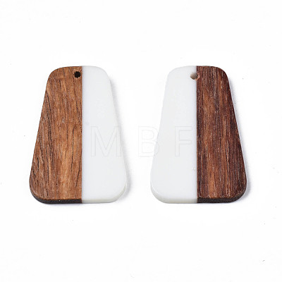 Resin & Wood Pendants RESI-N025-021-1