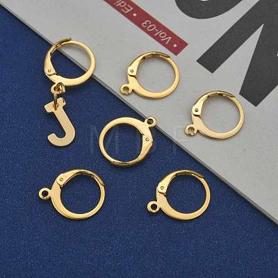 304 Stainless Steel Leverback Earring Findings X-STAS-P210-30G-1