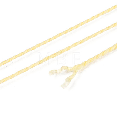 Braided Polyester Cord OCOR-T017-04A-18-1