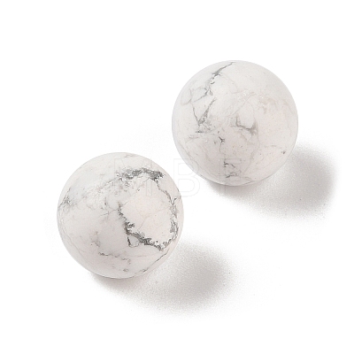 Natural Howlite No Hole Sphere Beads G-K353-04B-20-1