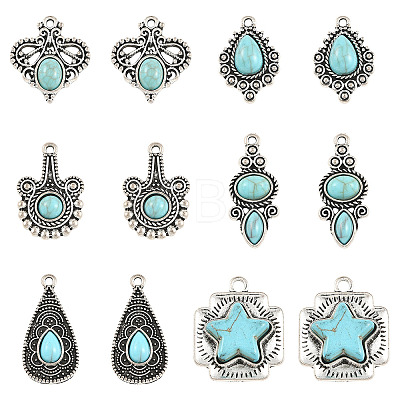 12Pcs 6 Styles Imitation Turquoise Resin Pendants FIND-SZ0019-78-1
