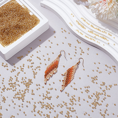 100G Glass Seed Beads SEED-SP0001-11B-1