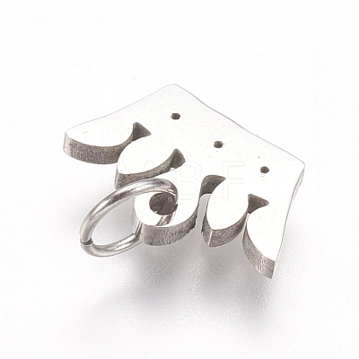316 Surgical Stainless Steel Charms KK-I612-05P-1