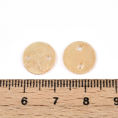 Spray Painted Natural Capiz Shell Connector Charms SSHEL-N039-03E-1