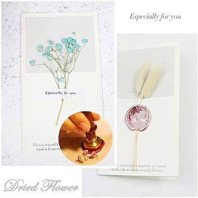 DIY Scrapbook AJEW-WH0100-070-1