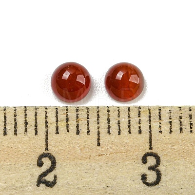 Natural Red Agate Cabochons G-H309-03-43-1