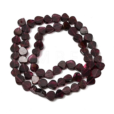 Natural Garnet Beads Strands G-NH0070-B01-01-1