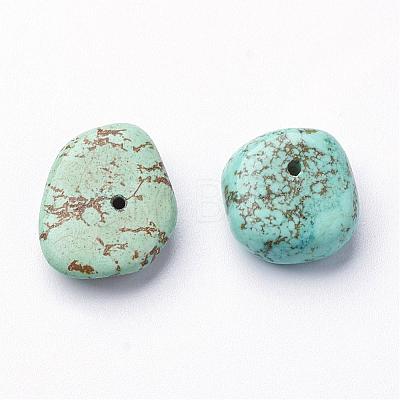 Natural Howlite Beads G-D839-05-1