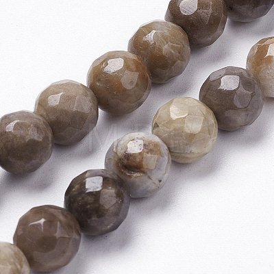 Natural Silver Leaf Jasper Beads Strands X-G-K181-6mm-O01-1