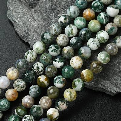 Natural Tree Agate Round Gemstone Beads Strands G-R255-8mm-1