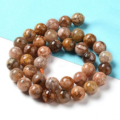 Natural Flower Agate Beads Strands G-B044-A01-03-1