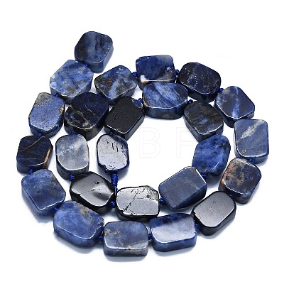 Natural Sodalite Beads Strands G-K245-J15-01-1