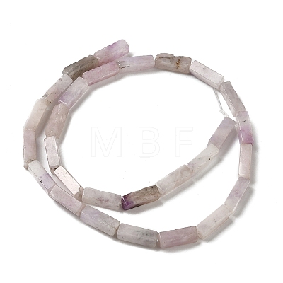Natural Lepidolite/Purple Mica Stone Beads Strands G-E612-C05-C-1