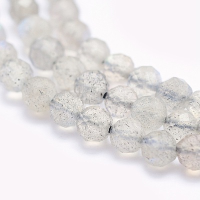 Natural Labradorite Beads Strands G-O166-22-3mm-1