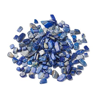 Natural Lapis Lazuli Beads G-F710-09-1