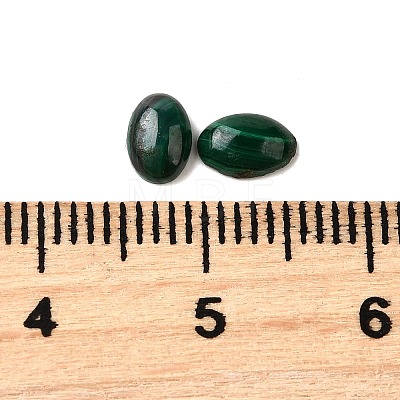 Natural Malachite Cabochons G-E557-03O-1