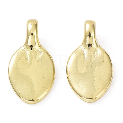 Rack Plating Brass Charms X-KK-B076-16G-1