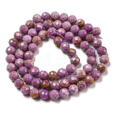 Natural Lepidolite/Purple Mica Stone Beads Strands G-NH0011-A01-04-1