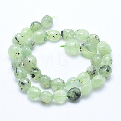 Natural Prehnite Beads Strands G-E483-71-1