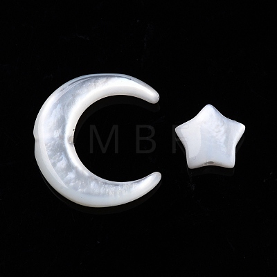 Natural Natural White Shell Beads Sets SSHEL-N032-52B-01-1