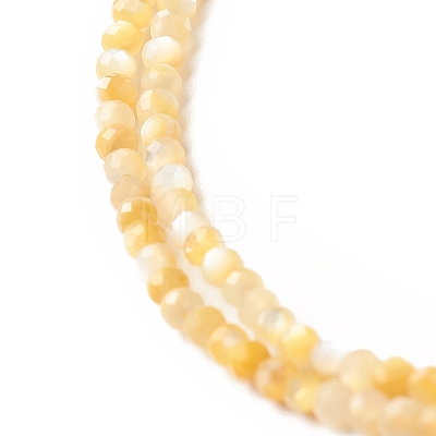 Natural Golden Yellow Shell Beads Strands SSHEL-G029-01C-1