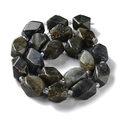 Natural Larvikite Beads Strands G-C182-17-02-1