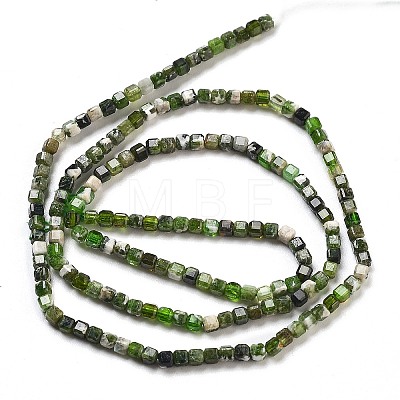 Natural Diopside Beads Strands G-G161-C23-01-1