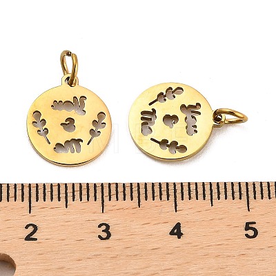 304 Stainless Steel Charms STAS-D050-07G-13-1
