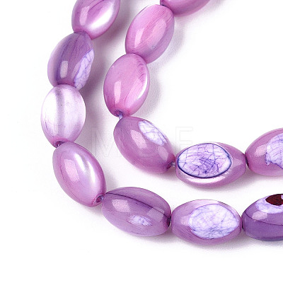 Natural Trochus Shell Beads Strands X-SHEL-K006-19-01D-1