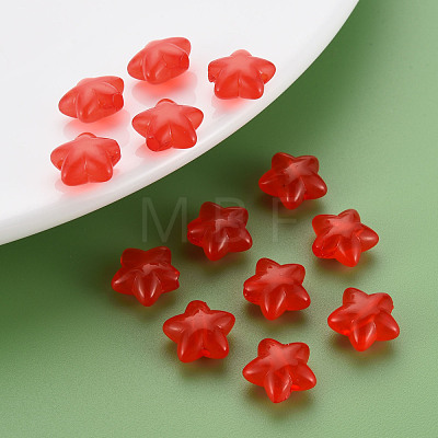 Transparent Acrylic Beads MACR-S373-26E-04-1