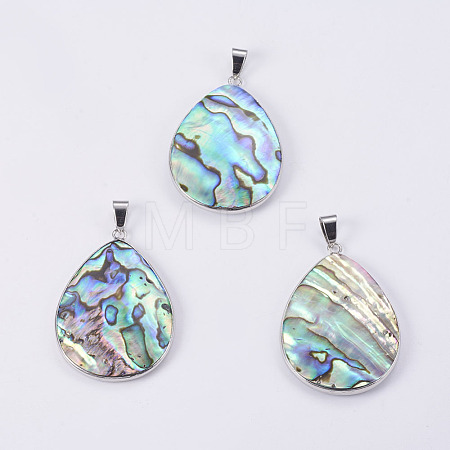 Abalone Shell/Paua Shell Pendants SSHEL-L008-20P-1