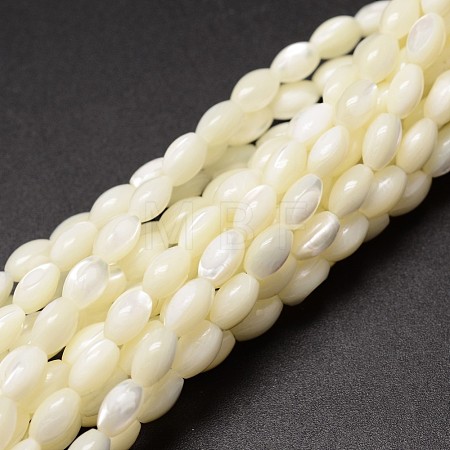 Natural Trochid Shell/Trochus Shell Beads Strands X-SSHEL-K008-06-1