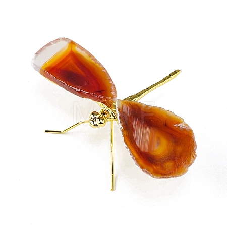 Dyed Natural Agate Slice Display Decorations DJEW-PW0009-004C-1