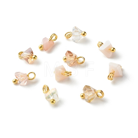 Electroplate Glass Charms PALLOY-JF00821-07-1
