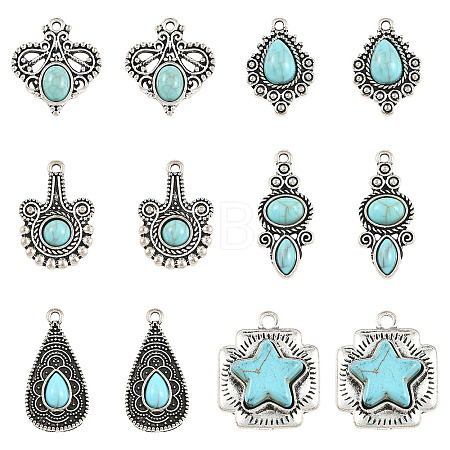 12Pcs 6 Styles Imitation Turquoise Resin Pendants FIND-SZ0019-78-1