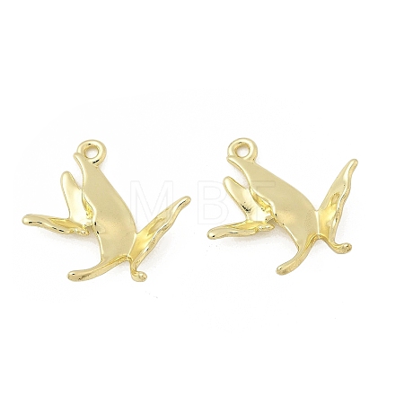 Alloy Pendants AL-CBA5609-12G-1