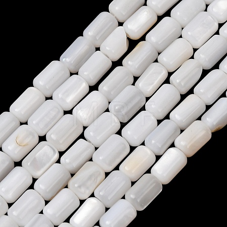Natural Freshwater Shell Beads Strands SH-CBA2978-21A-1