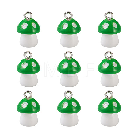 Plastic Pendants KY-TA0001-15C-1
