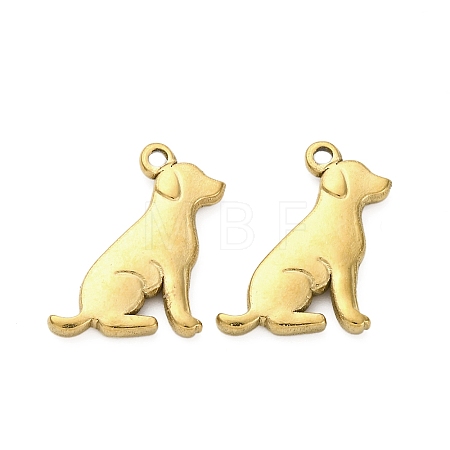 304 Stainless Steel Pendants STAS-Z142-19G-1