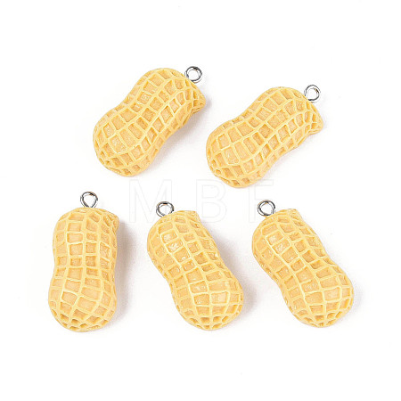 Opaque Resin Pendants RESI-N051-06-1